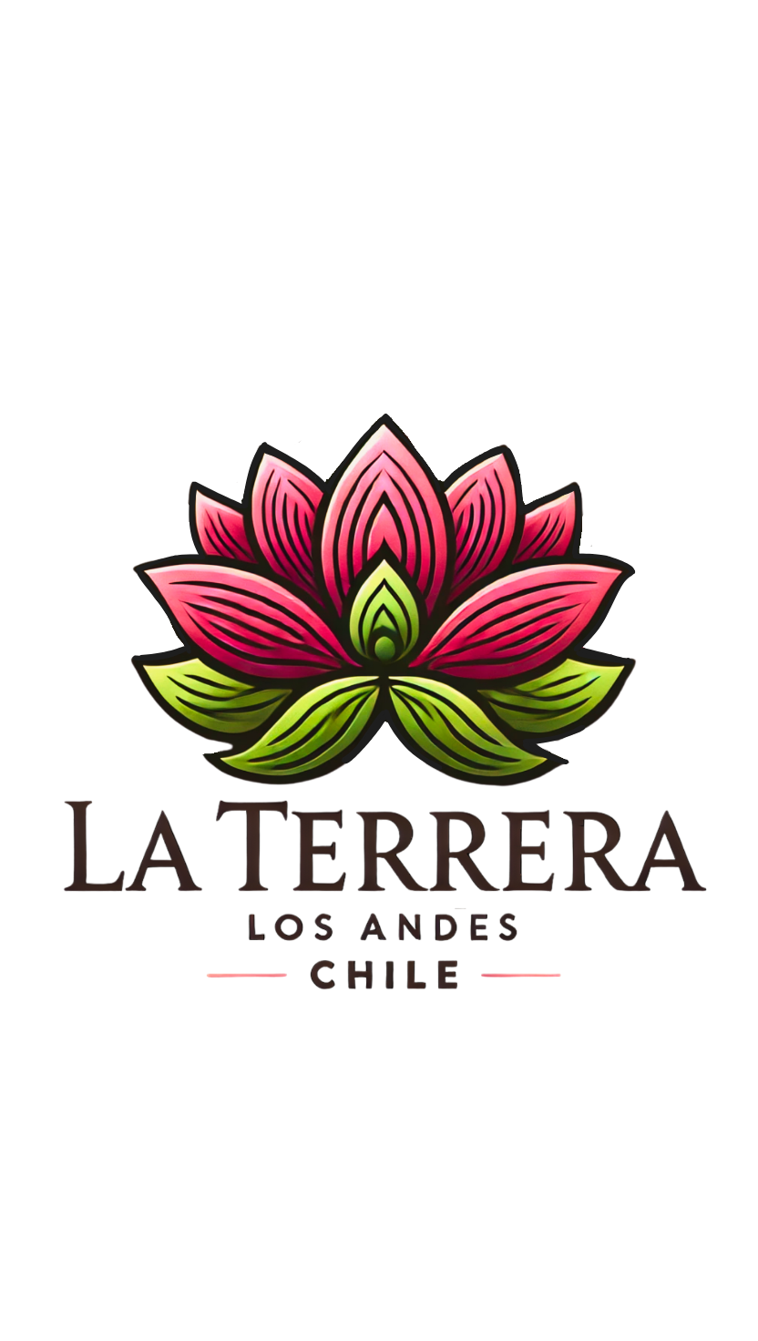 Suculentas de colección_20250404_085337_0000.png