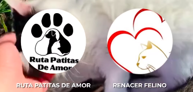 Captura de Pantalla 2025-02-18 a la(s) 10.20.59