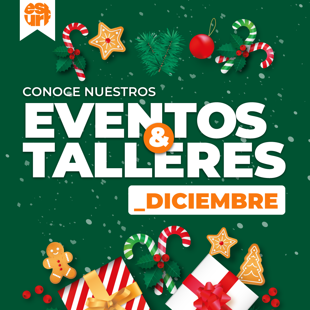 EU-Carrusel-Eventos_y_Talleres_Diciembre_2024-1080x1080px-1