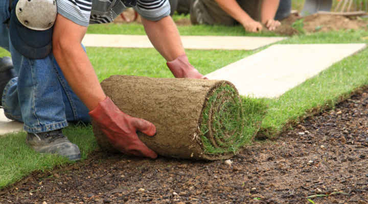 crear-una-empresa-de-jardinería4